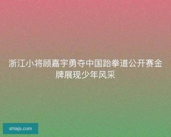 浙江小将顾嘉宇勇夺中国跆拳道公开赛金牌展现少年风采